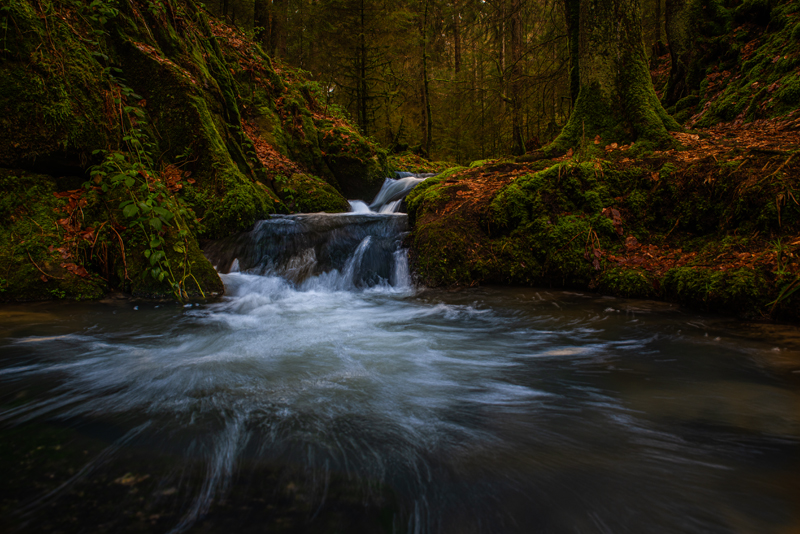 Read more about the article Hochwasser im Wildbach